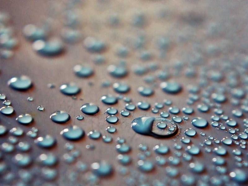 气味图书馆<br>hzldzsi.cn 雨后泥土芬芳